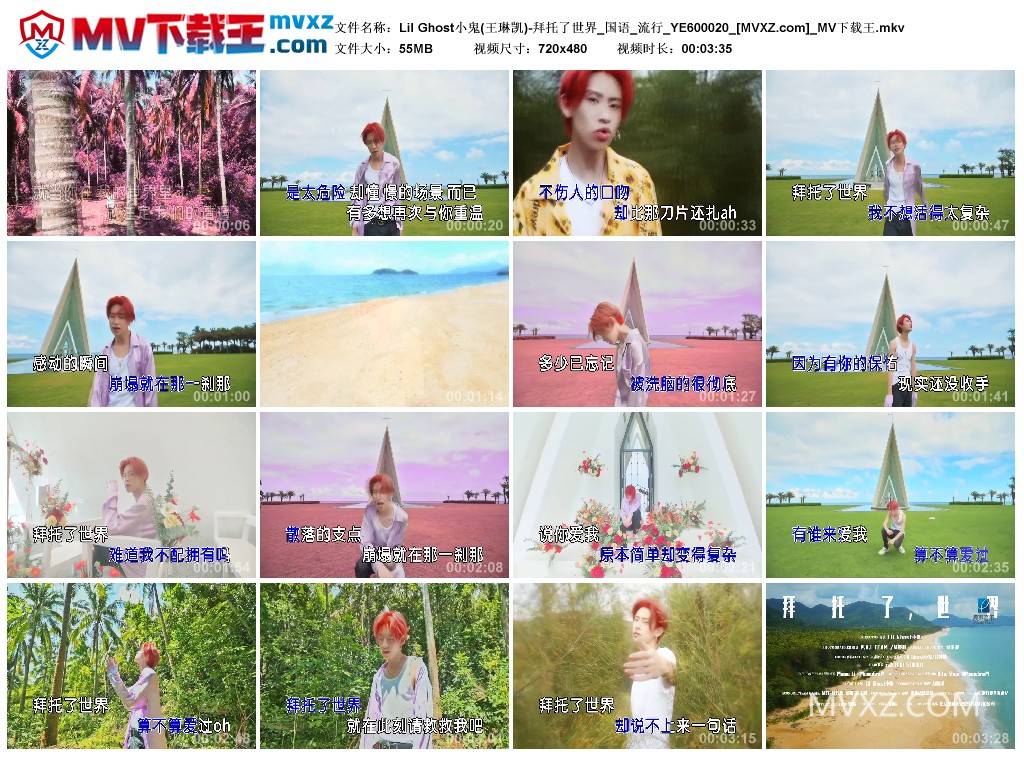 Lil Ghost小鬼(王琳凯)-拜托了世界_国语_流行_YE600020